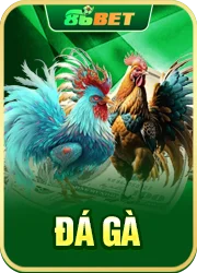 đá gà 86bet